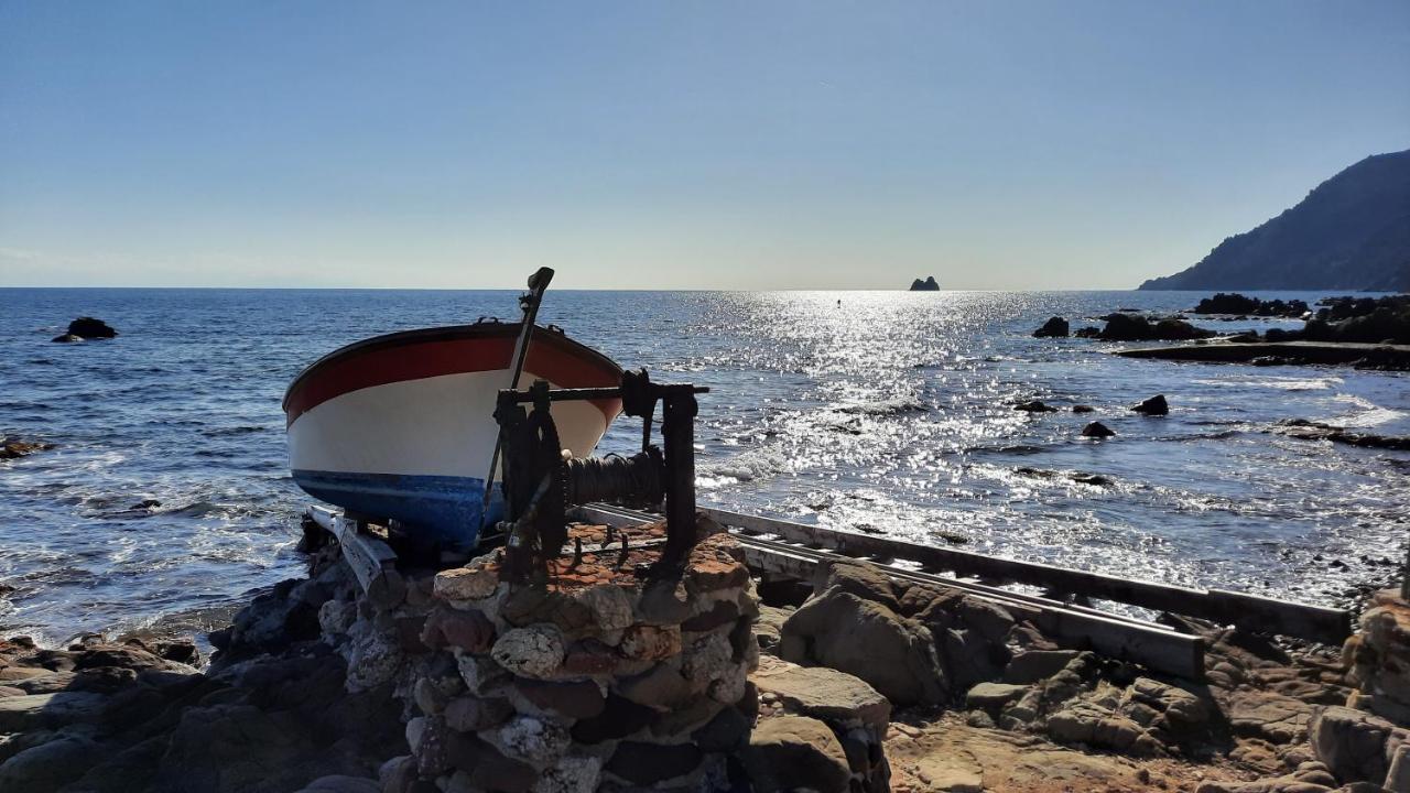 Les Bois Flottes . Plage De La Verne La Seyne-sur-Mer Luaran gambar