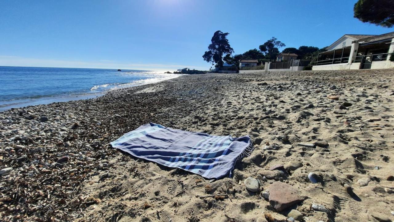 Les Bois Flottes . Plage De La Verne La Seyne-sur-Mer Luaran gambar