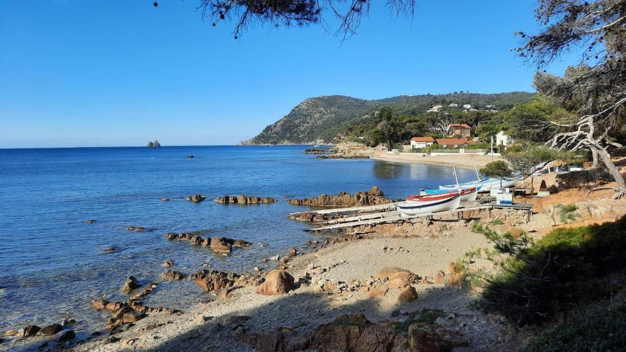 Les Bois Flottes . Plage De La Verne La Seyne-sur-Mer Luaran gambar
